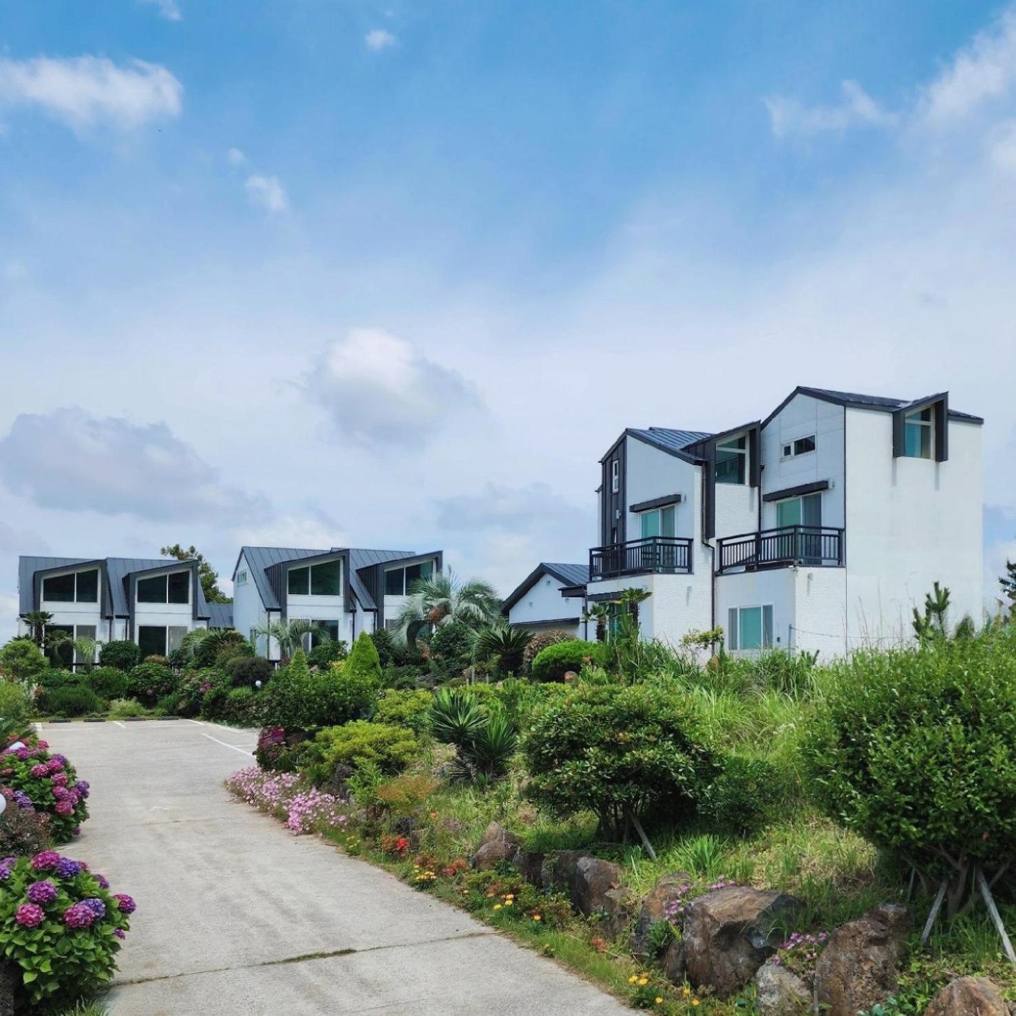 Jeju 542 Pension مدينة سيوجويبو المظهر الخارجي الصورة